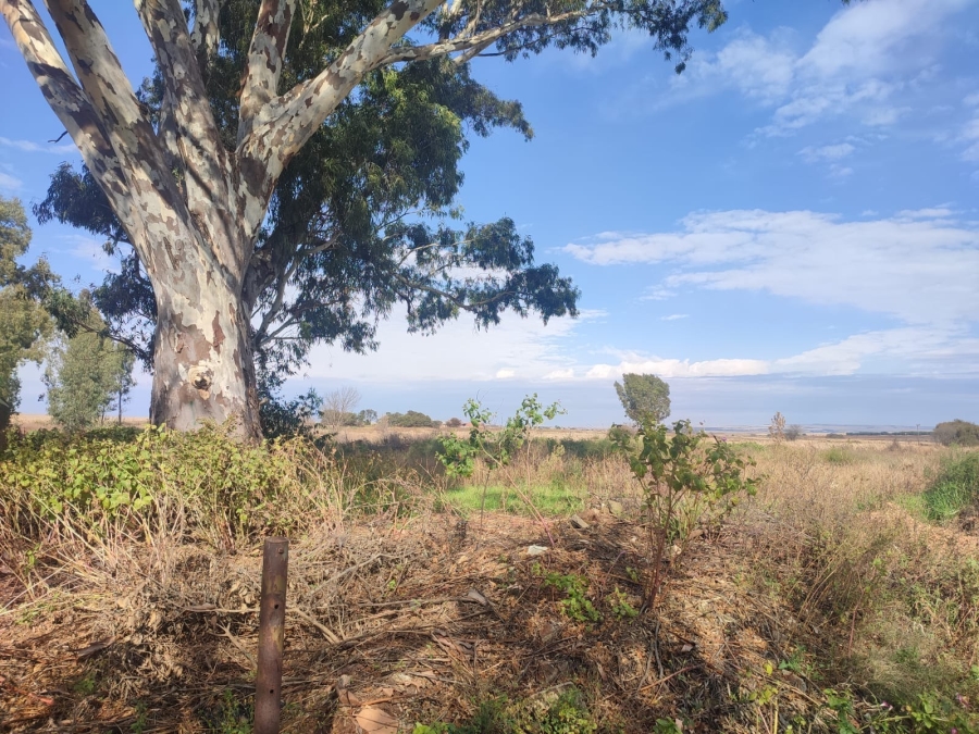 0 Bedroom Property for Sale in Koster North West